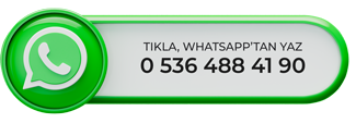 WhatsApp İkonu